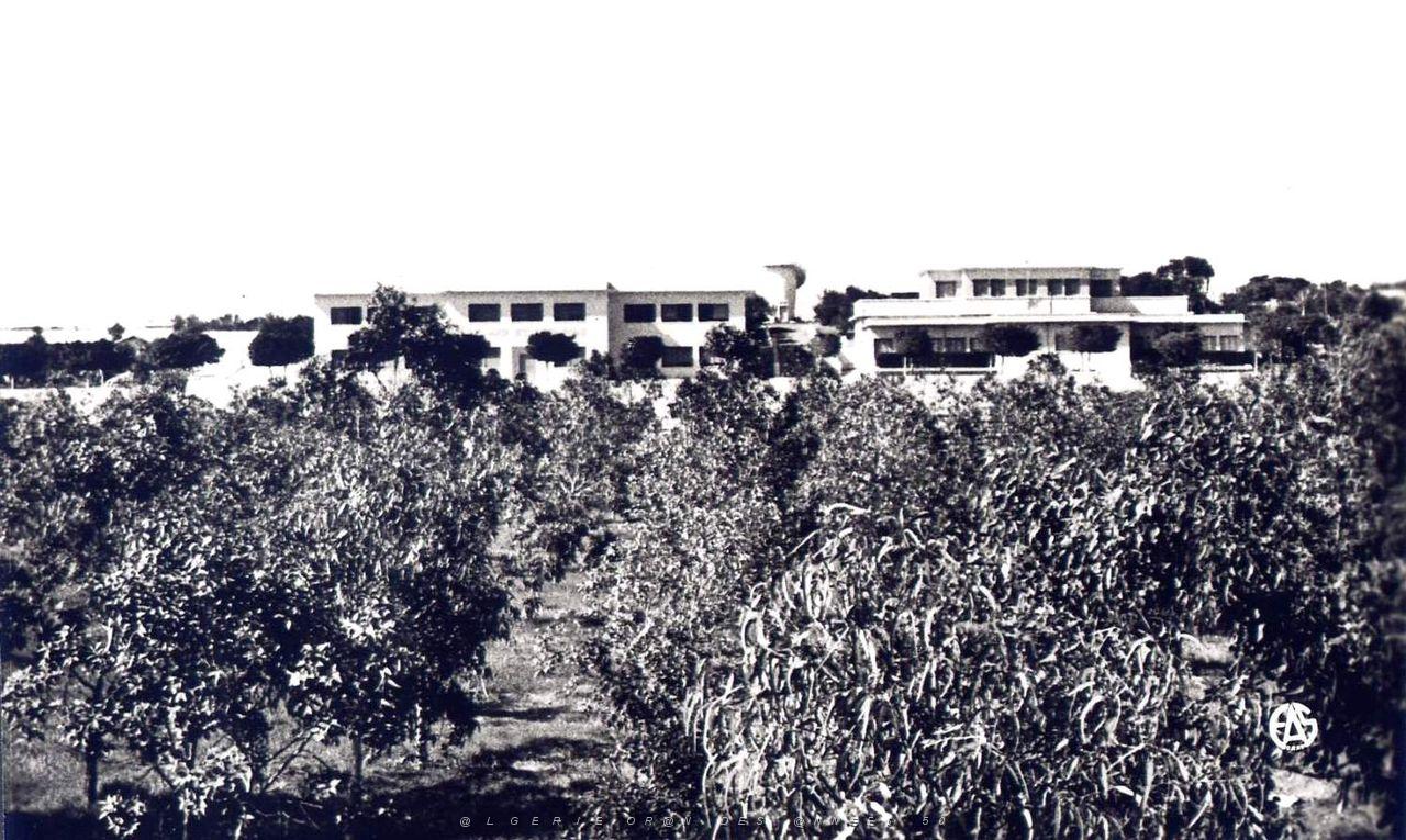 CO ha- 275- Ain el turck .jpg